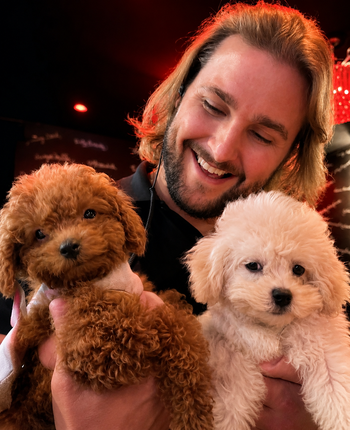 Events — premium event setup with Star Poodlez