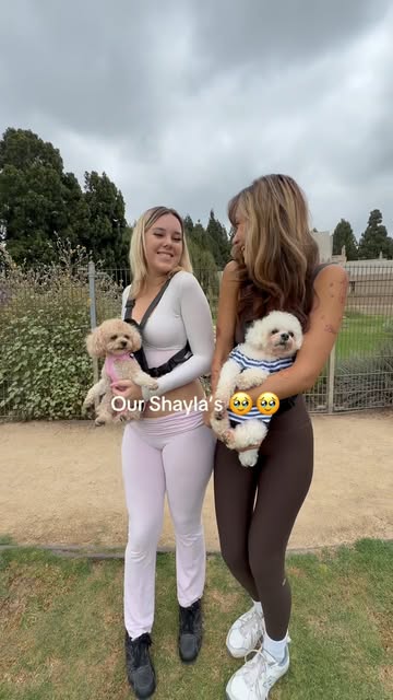 Star Poodlez reel still