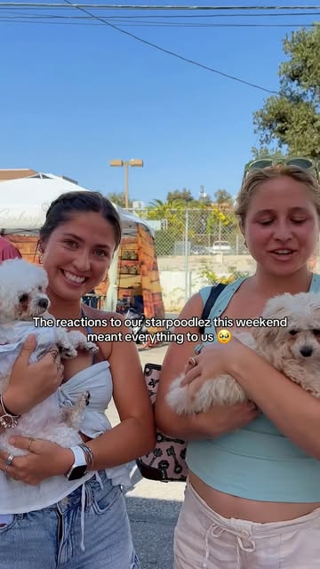 Star Poodlez weekend visit reel still