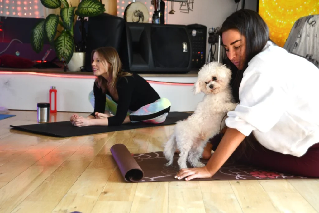 Yoga classes — studio yoga with Star Poodlez