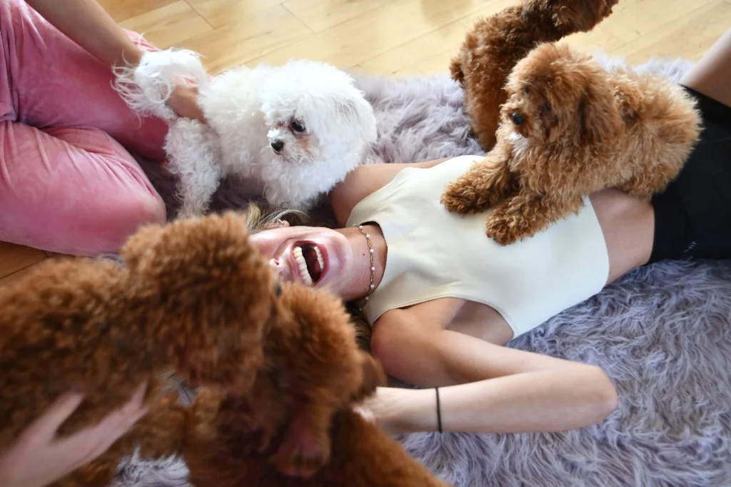 Yoga classes — playful poodle wellness session